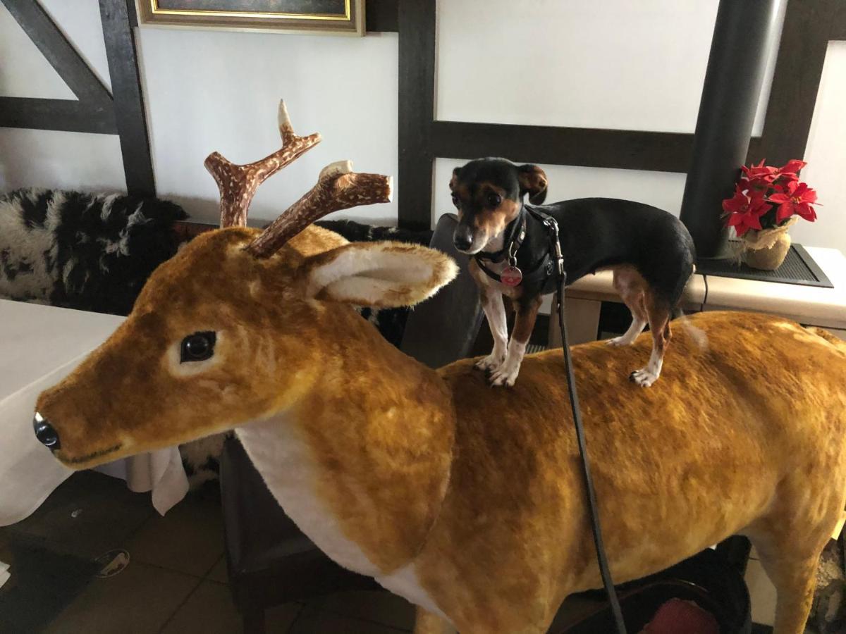 Berghotel Natura Bed & Breakfast ヴィンターベルク エクステリア 写真